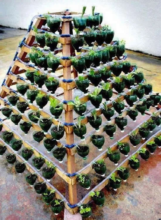 Horta Pirâmide com garrafas PET