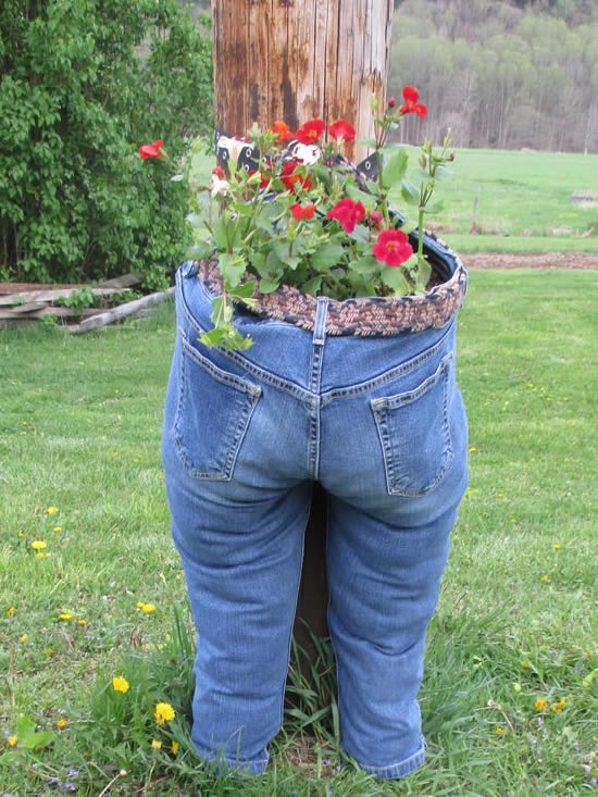 Como plantar em calças jeans