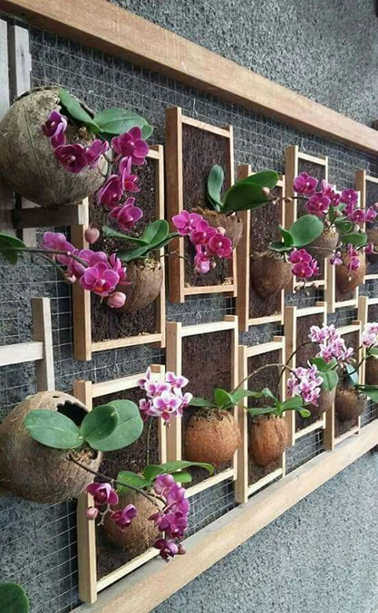 Jardins com Lindas Orquídeas