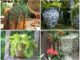 Ideias para Vasos de Jardim