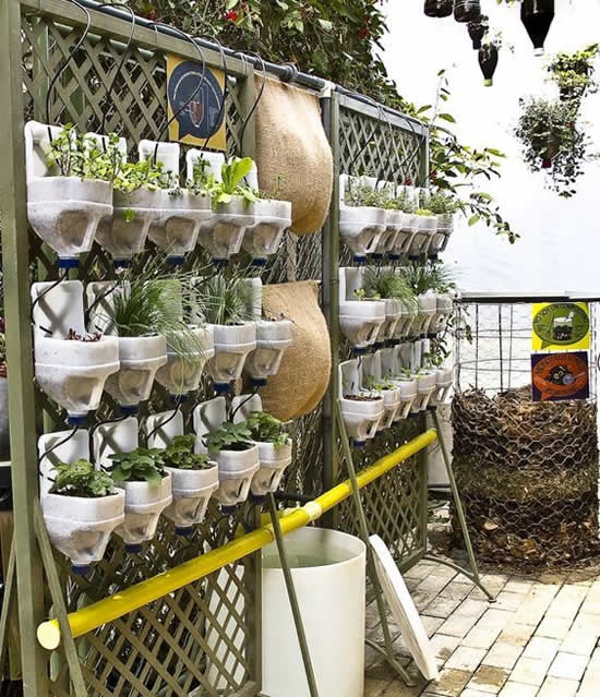 Como fazer horta caseira