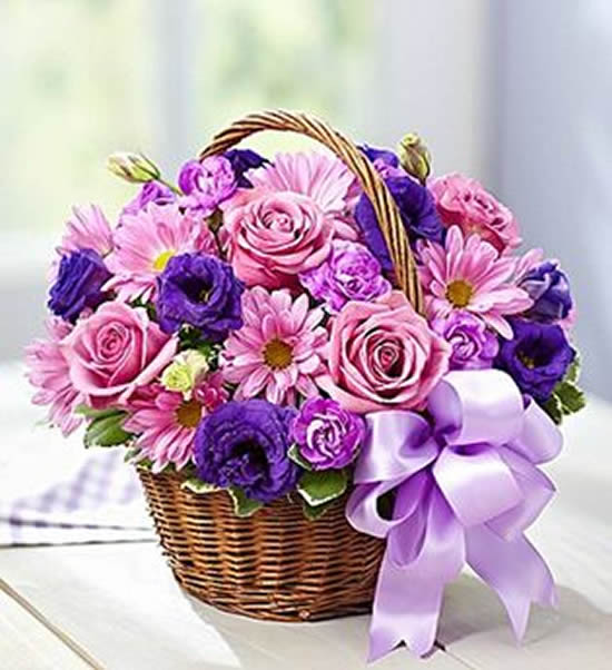 Lindos arranjos de flores com cestas