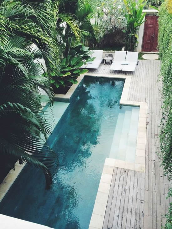 Lindos projetos com piscina e jardim