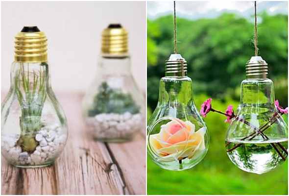 Ideias para plantar em lâmpadas