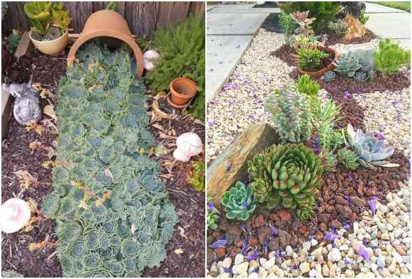 10 ideias para decorar o jardim com suculentas