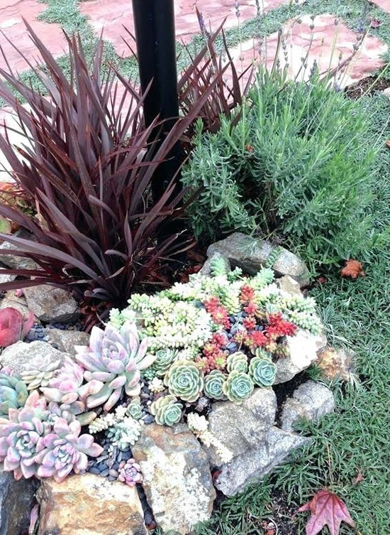 Decoração linda para jardim com pedras e suculentas