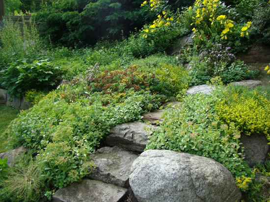 Decoração de pedras para jardim