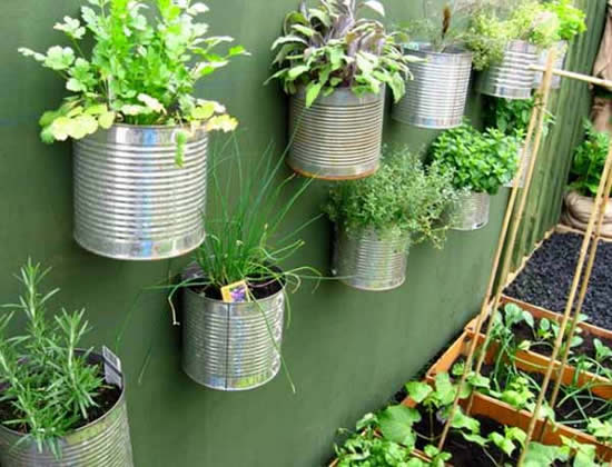 Dicas e ideias para fazer parede decorada com plantas