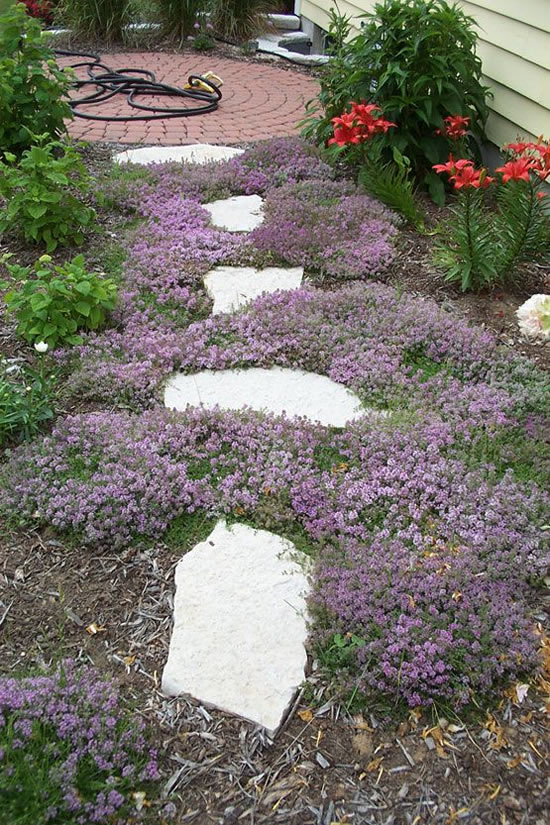 Lindos caminhos com pedras para jardim