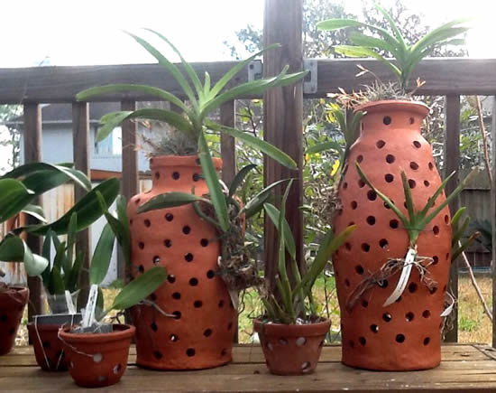 Plante orquídeas em vasos de barro